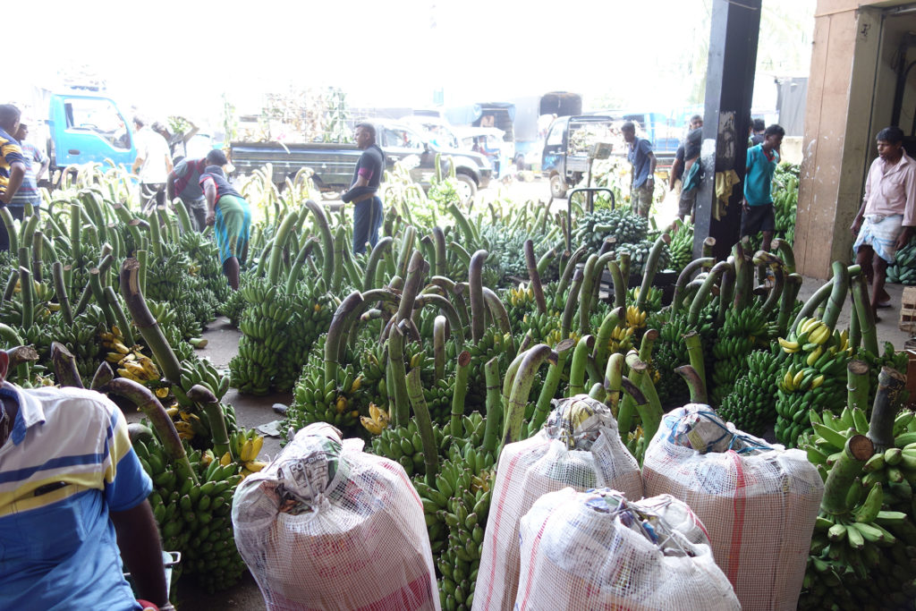 cnetral market
